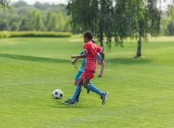 德尚,上半场失误,太多,太阳城,太阳城娱乐,太阳城app,太阳城赌场